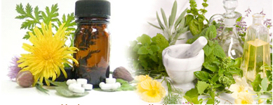 Protetto: Giovedì 10 luglio 2014 dalle 18:30 alle 20 – Incontro GRATUITO Natura, salute e benessere